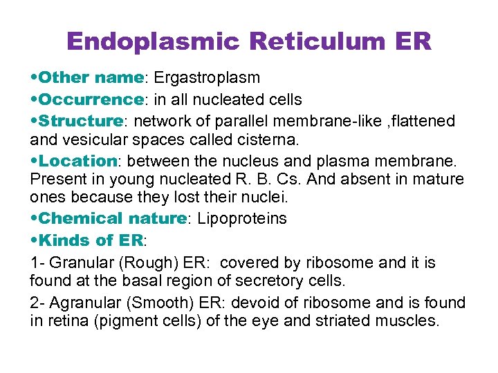 Endoplasmic Reticulum ER • Other name: Ergastroplasm • Occurrence: in all nucleated cells •