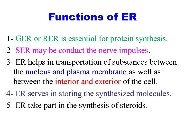 Functions of ER 1 - GER or RER is essential for protein synthesis. 2