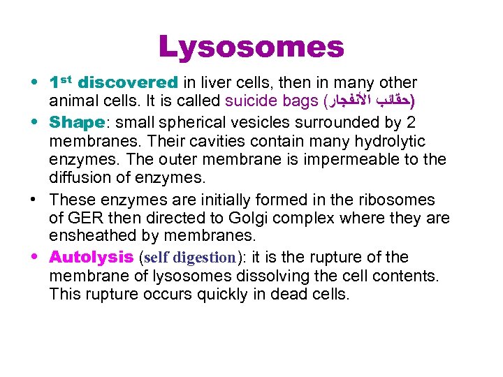 Lysosomes • 1 st discovered in liver cells, then in many other animal cells.