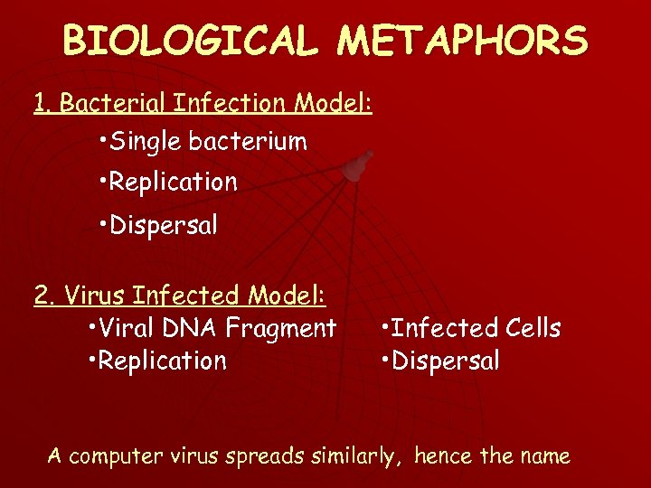 BIOLOGICAL METAPHORS 1. Bacterial Infection Model: • Single bacterium • Replication • Dispersal 2.