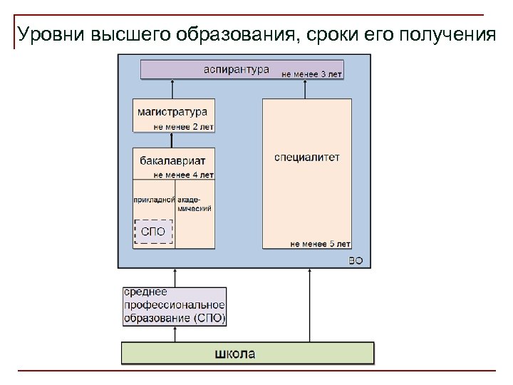 Уровни высшего образования, сроки его получения 