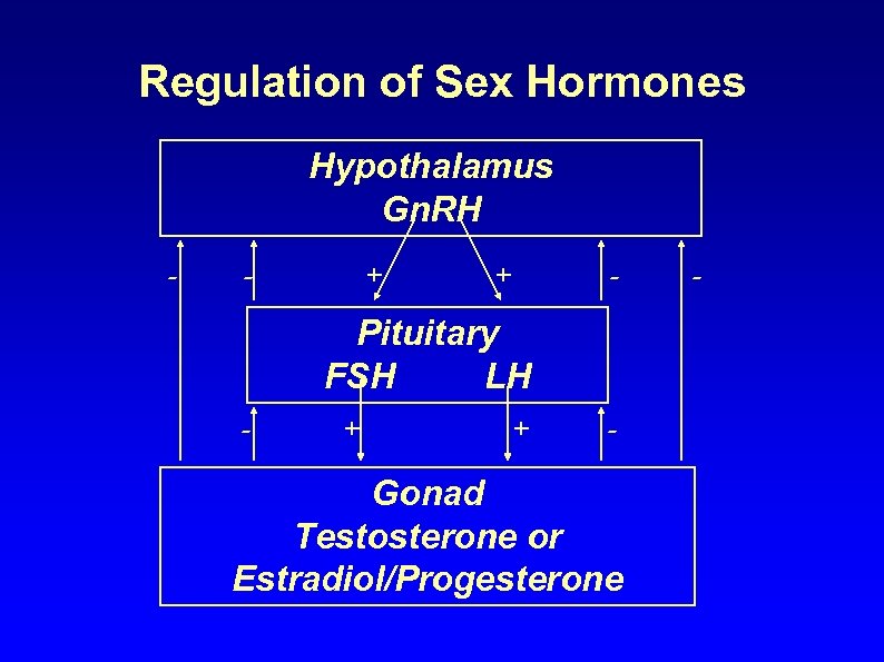 Regulation of Sex Hormones Hypothalamus Gn. RH - - + + - Pituitary FSH