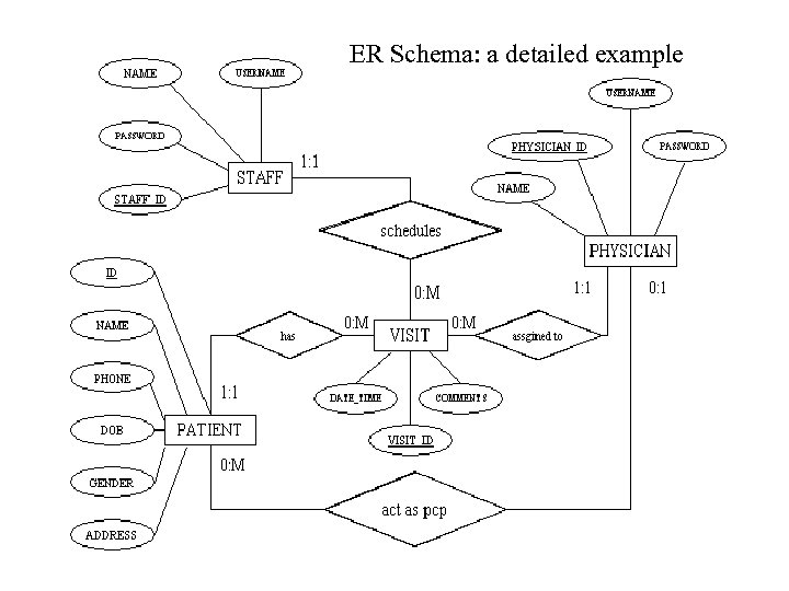 ER Schema: a detailed example 