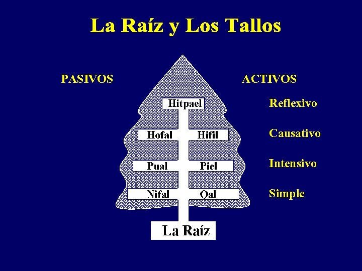 PASIVOS ACTIVOS Reflexivo Causativo Intensivo Simple 