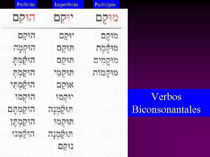 Perfecto Imperfecto Participio Verbos Biconsonantales 