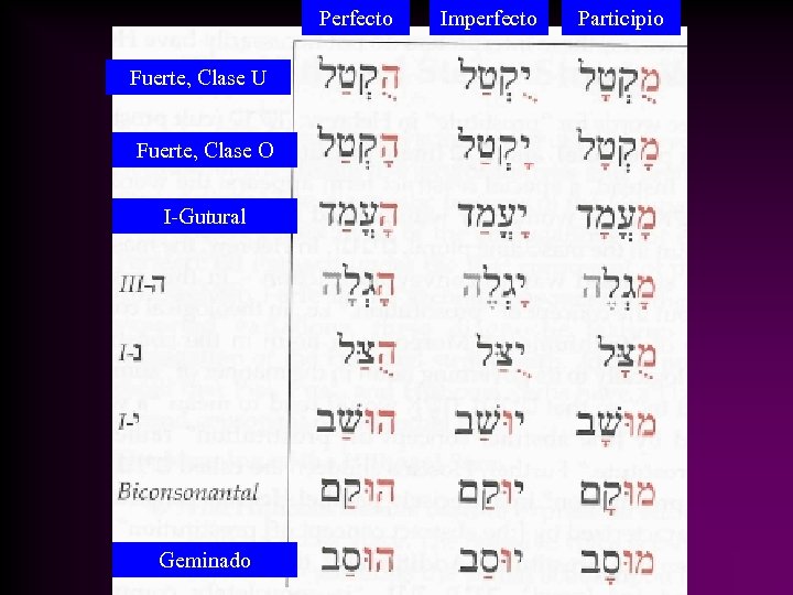 Perfecto Fuerte, Clase U Fuerte, Clase O I-Gutural Geminado Imperfecto Participio 