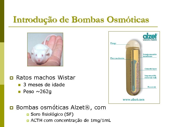 Introdução de Bombas Osmóticas p Ratos machos Wistar n n p 3 meses de