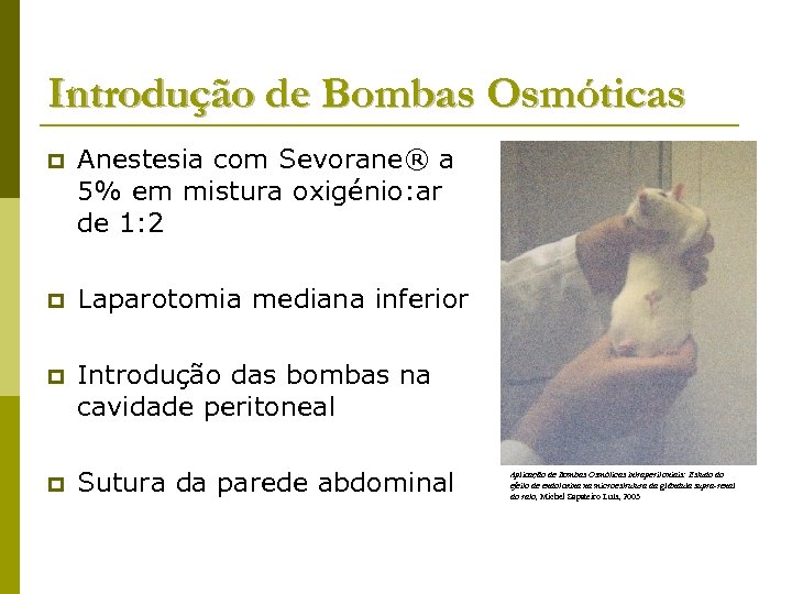 Introdução de Bombas Osmóticas p Anestesia com Sevorane® a 5% em mistura oxigénio: ar