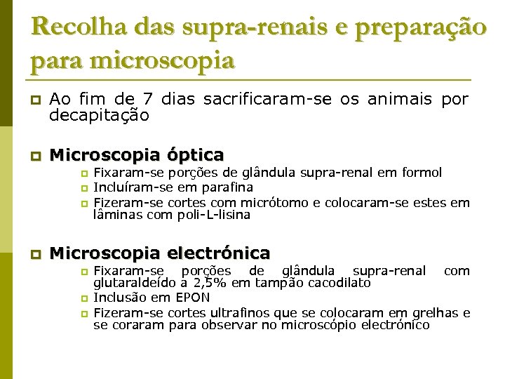 Recolha das supra-renais e preparação para microscopia p Ao fim de 7 dias sacrificaram-se