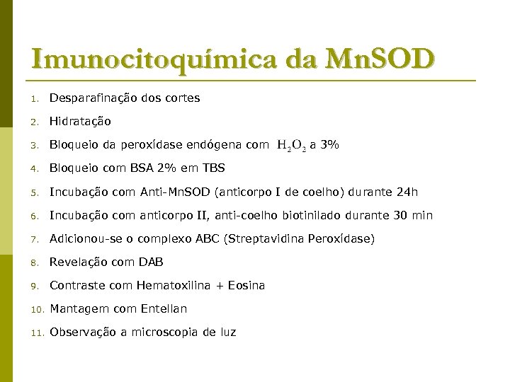 Imunocitoquímica da Mn. SOD 1. Desparafinação dos cortes 2. Hidratação 3. Bloqueio da peroxídase