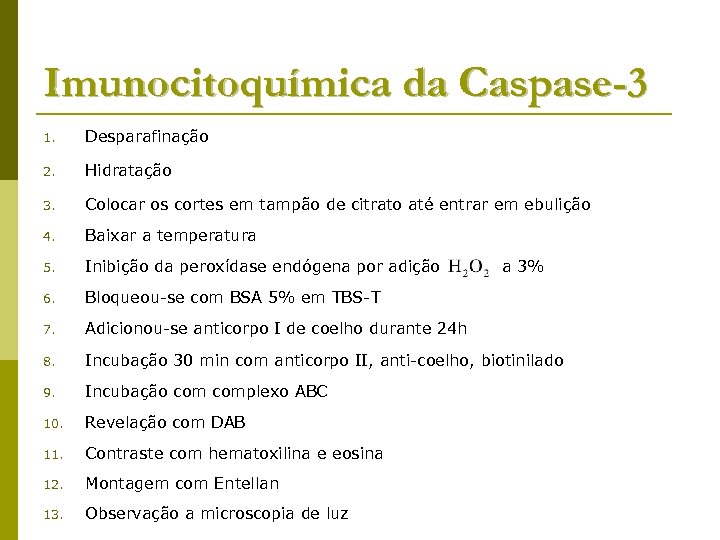 Imunocitoquímica da Caspase-3 1. Desparafinação 2. Hidratação 3. Colocar os cortes em tampão de