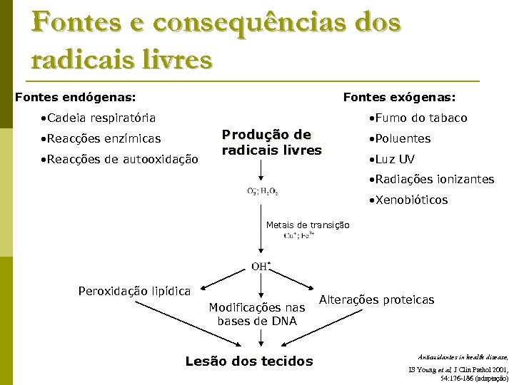 Fontes e consequências dos radicais livres Fontes endógenas: Fontes exógenas: • Cadeia respiratória •