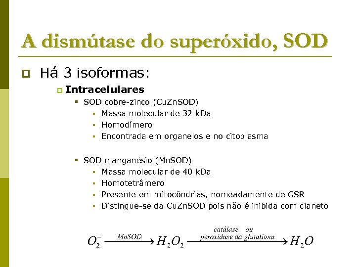 A dismútase do superóxido, SOD p Há 3 isoformas: p Intracelulares § SOD cobre-zinco