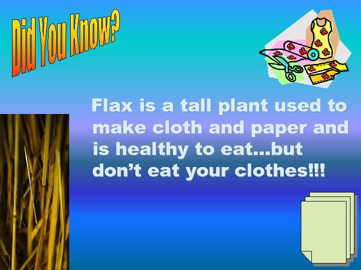 Flax is a tall plant used to make cloth and paper and is healthy