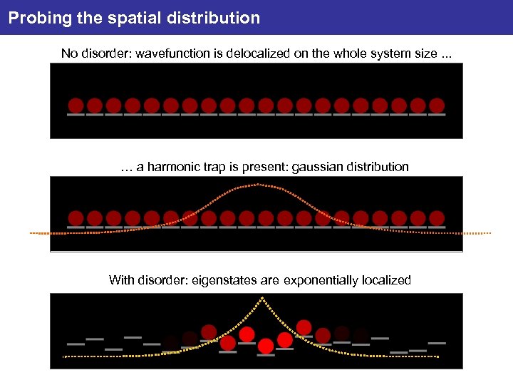 Probing the spatial distribution No disorder: wavefunction is delocalized on the whole system size.