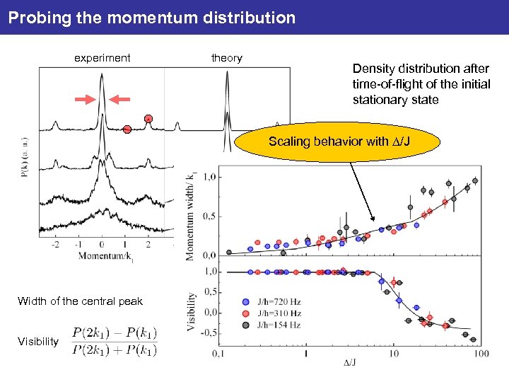 Probing the momentum distribution experiment theory Density distribution after time-of-flight of the initial stationary