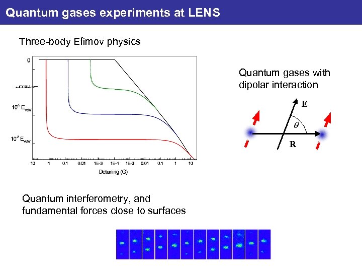 Quantum gases experiments at LENS Three-body Efimov physics Quantum gases with dipolar interaction E