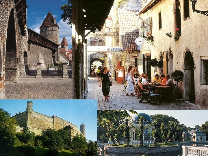 Photo by B. Koenemann 2005 