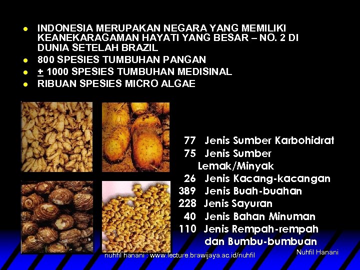 l l INDONESIA MERUPAKAN NEGARA YANG MEMILIKI KEANEKARAGAMAN HAYATI YANG BESAR – NO. 2