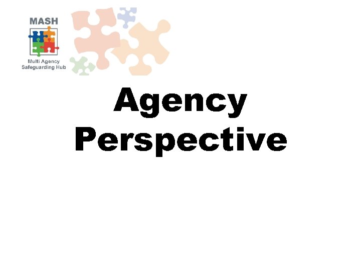 Agency Perspective 