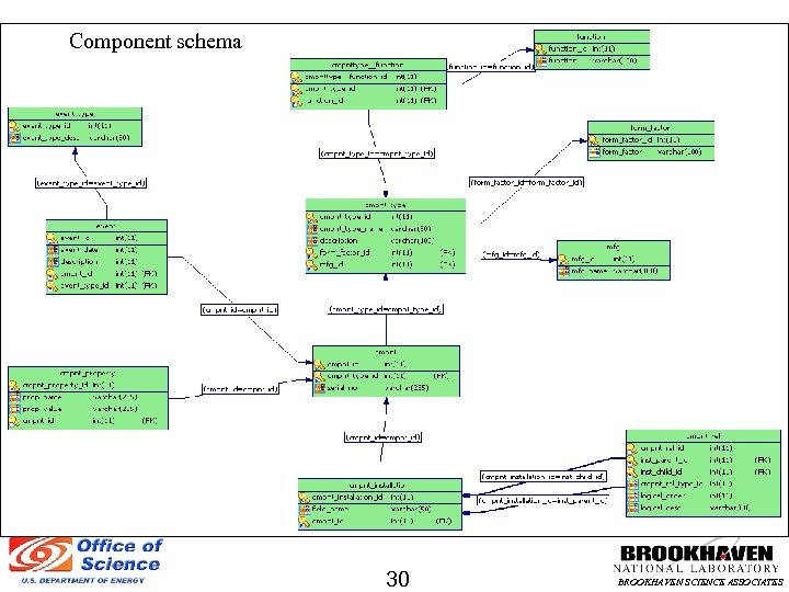 Component schema 30 BROOKHAVEN SCIENCE ASSOCIATES 