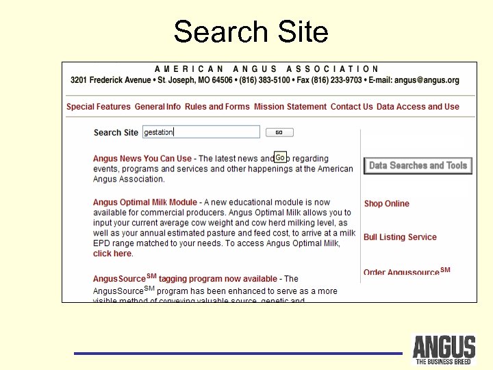 Search Site 