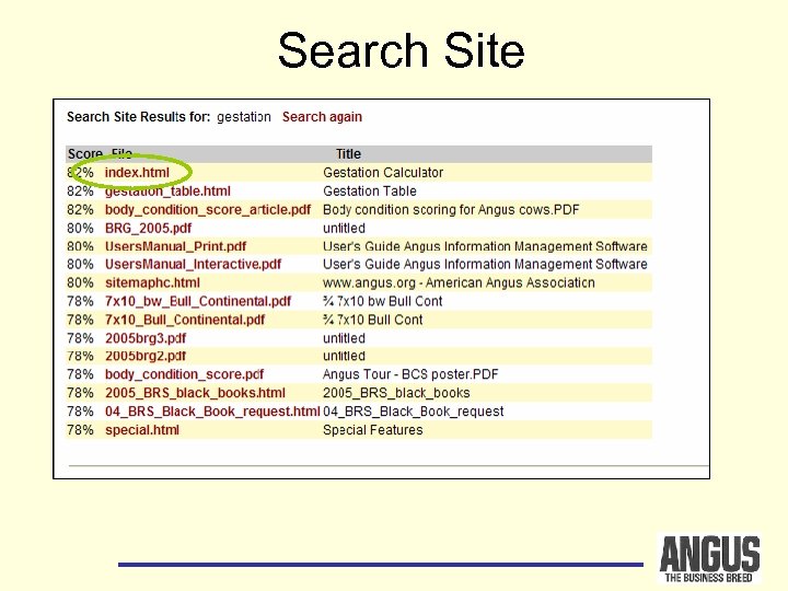 Search Site 