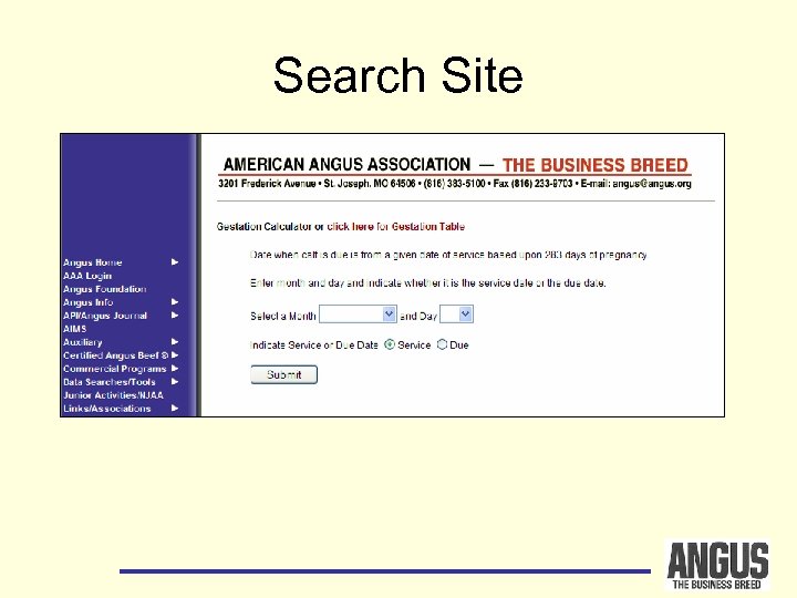 Search Site 