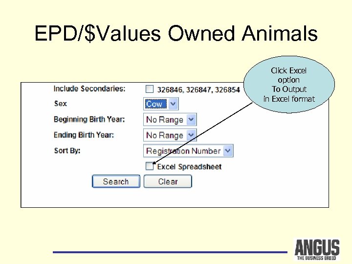 EPD/$Values Owned Animals Click Excel option To Output in Excel format 