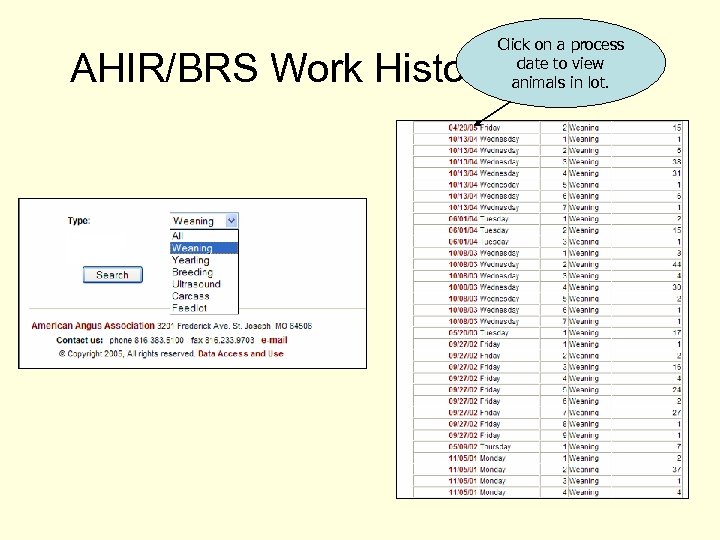 Click on a process date to view animals in lot. AHIR/BRS Work History/Reports 
