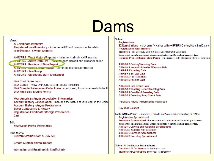 Dams 