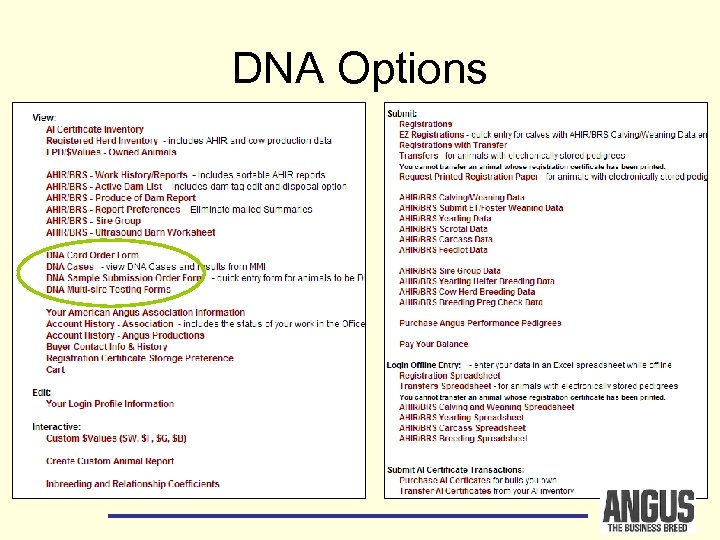 DNA Options 