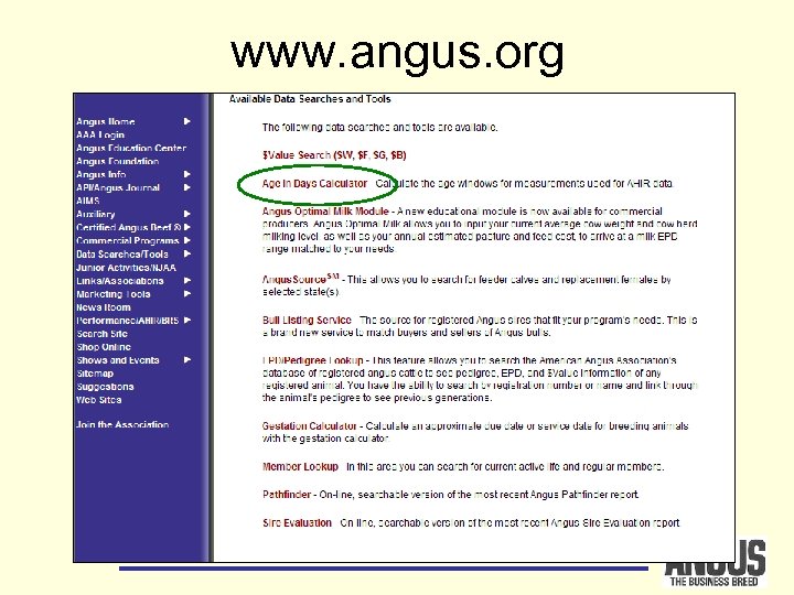 www. angus. org 