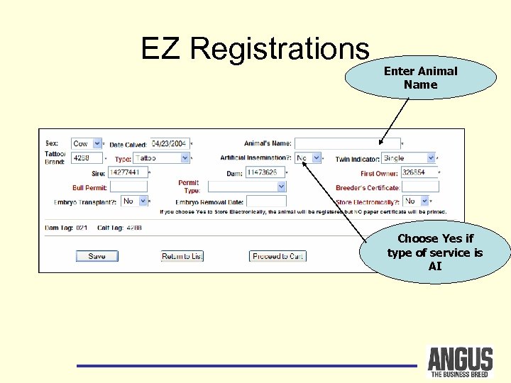 EZ Registrations Enter Animal Name Choose Yes if type of service is AI 