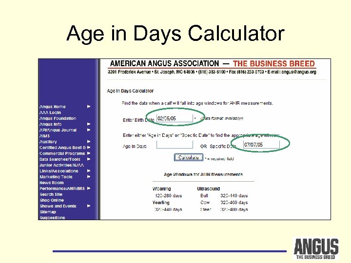 Age in Days Calculator 