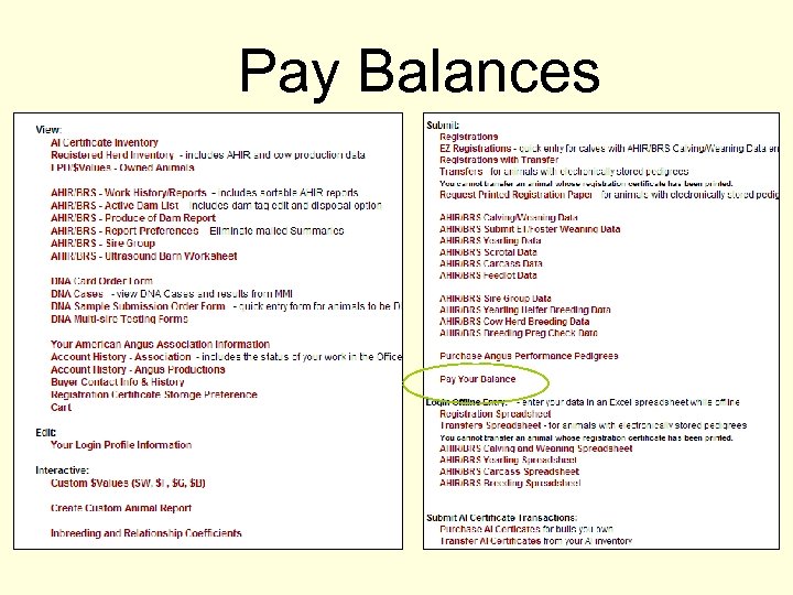 Pay Balances 