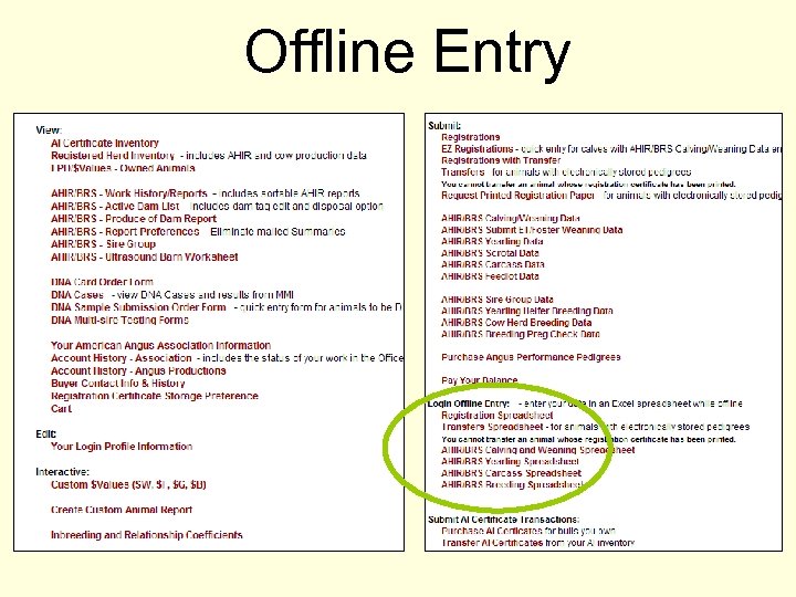 Offline Entry 