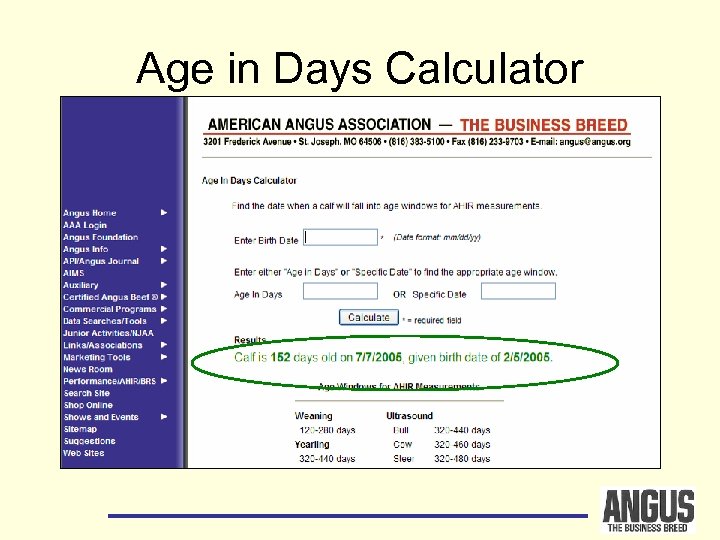 Age in Days Calculator 