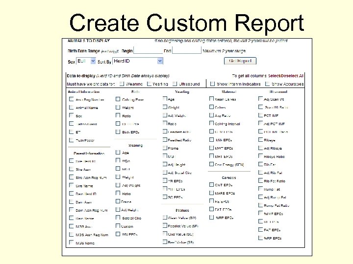 Create Custom Report 