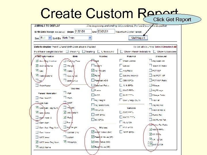 Create Custom Report Click Get Report 