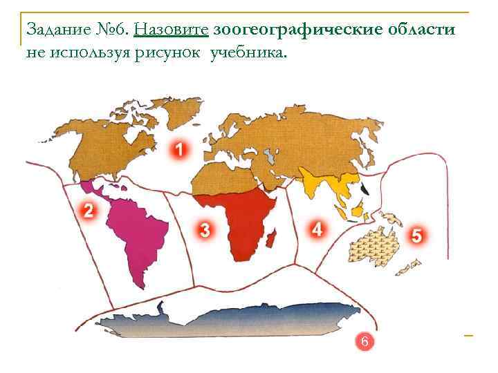 Ареалы обитания миграции закономерности размещения животных презентация