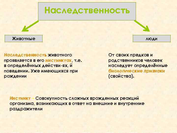 Наследственность Животные Наследственность животного проявляется в его инстинктах, т. е. инстинктах в определённых действи-ях,