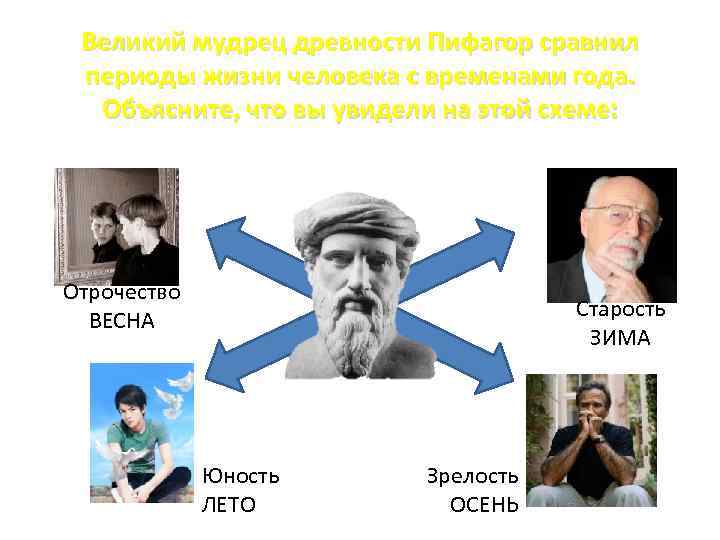 Периоды жизни человека