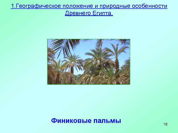 1. Географическое положение и природные особенности Древнего Египта. Финиковые пальмы 18 