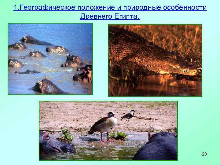 1. Географическое положение и природные особенности Древнего Египта. 20 