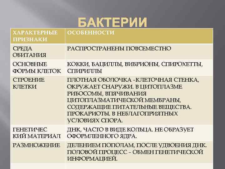 БАКТЕРИИ ХАРАКТЕРНЫЕ ПРИЗНАКИ ОСОБЕННОСТИ СРЕДА ОБИТАНИЯ РАСПРОСТРАНЕНЫ ПОВСЕМЕСТНО ОСНОВНЫЕ ФОРМЫ КЛЕТОК КОККИ, БАЦИЛЛЫ, ВИБРИОНЫ,