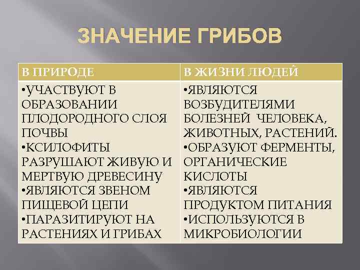 ЗНАЧЕНИЕ ГРИБОВ В ПРИРОДЕ • УЧАСТВУЮТ В ОБРАЗОВАНИИ ПЛОДОРОДНОГО СЛОЯ ПОЧВЫ • КСИЛОФИТЫ РАЗРУШАЮТ