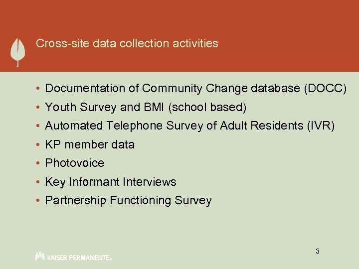 Cross-site data collection activities • Documentation of Community Change database (DOCC) • Youth Survey