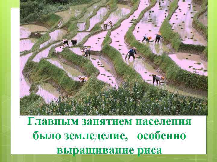 Главным занятием населения было земледелие, особенно выращивание риса 