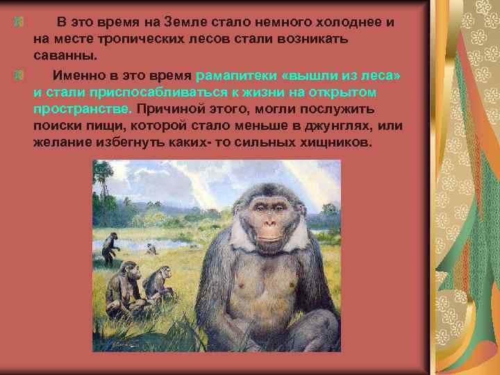  В это время на Земле стало немного холоднее и на месте тропических лесов